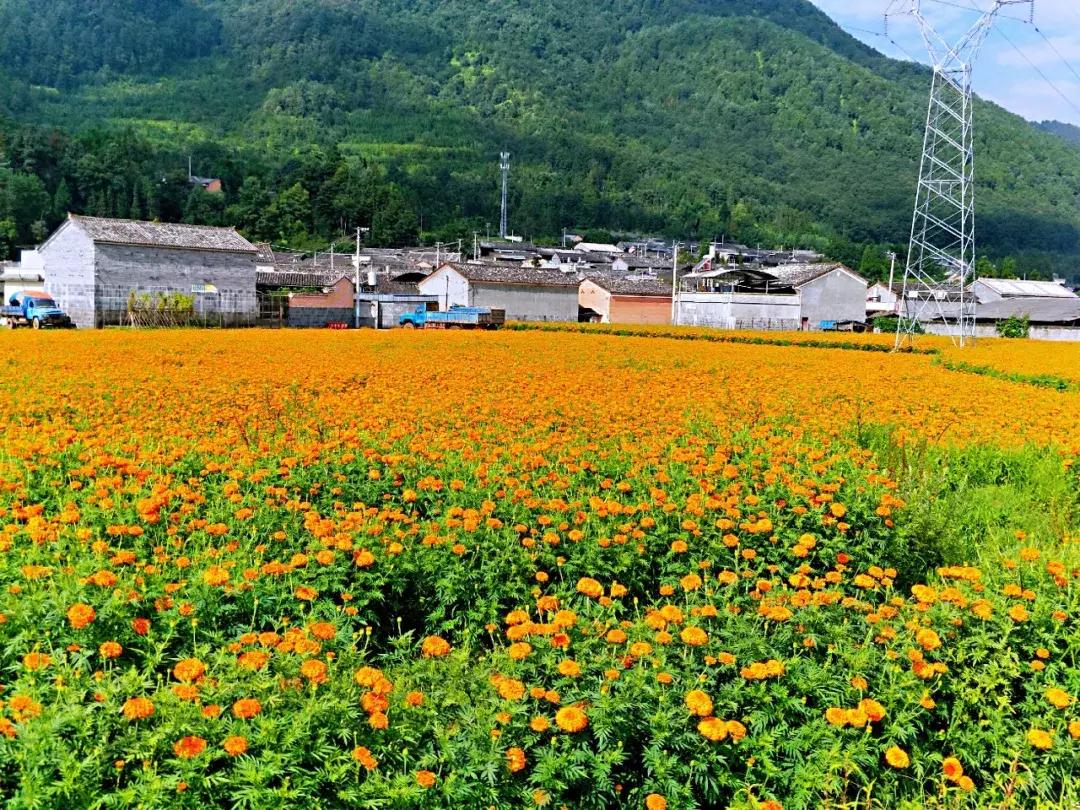 腾冲可以玩可以吃环境好的农家乐,腾冲花海美食