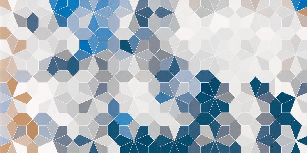 为什么都说强辉450x900mm中板在瓷砖界是“全能型选手”?