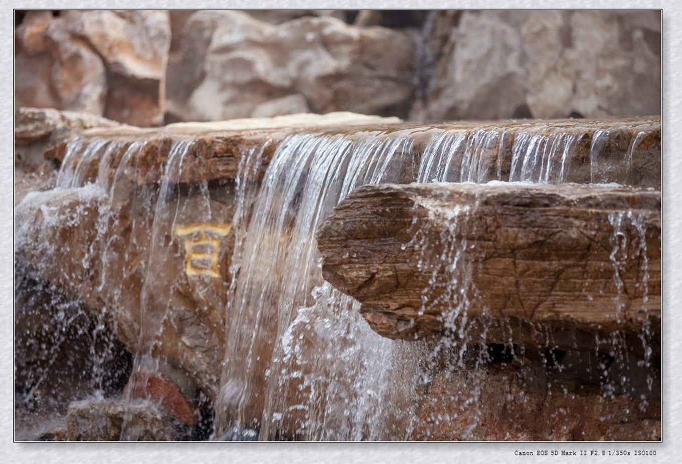 常州旅游东方盐湖城,骆驼之旅视频