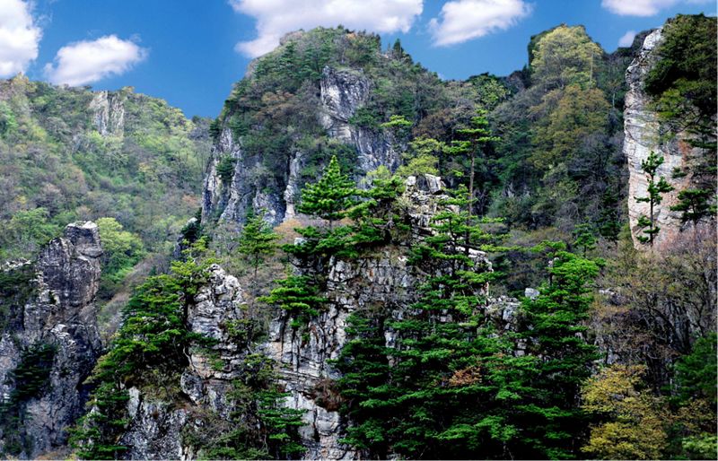 西安到牛背梁路况,西安到牛背梁最新消息