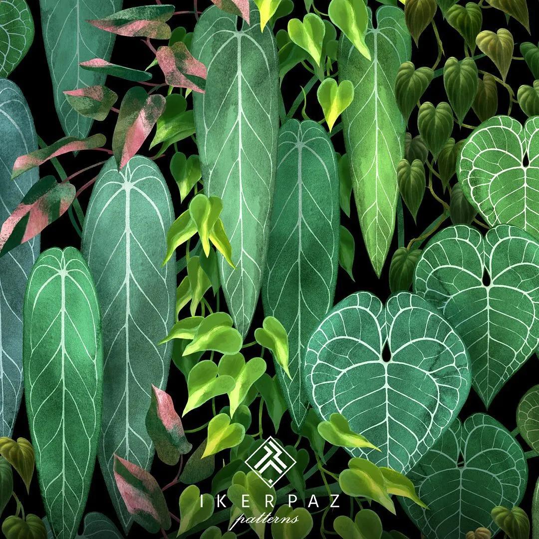 10片叶子的绿植,室内绿植盆栽一元