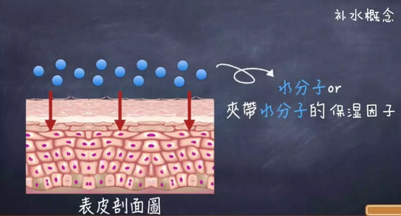国货修护祛痘印护肤品推荐,堪比大牌平价护肤品