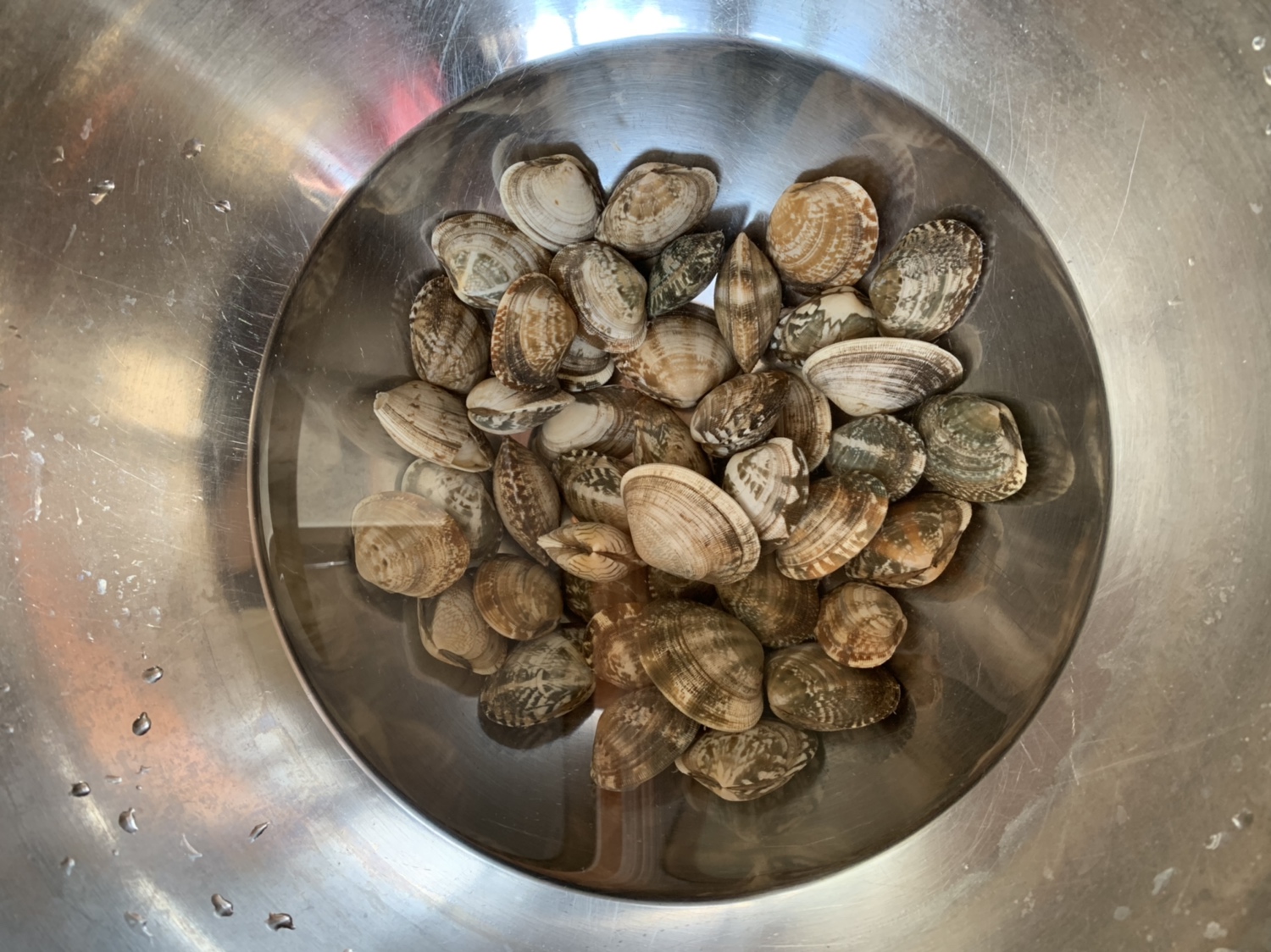 自己下厨做花甲鲜虾生蚝粉丝煲,小白锅做蒜蓉花甲粉丝煲家庭版