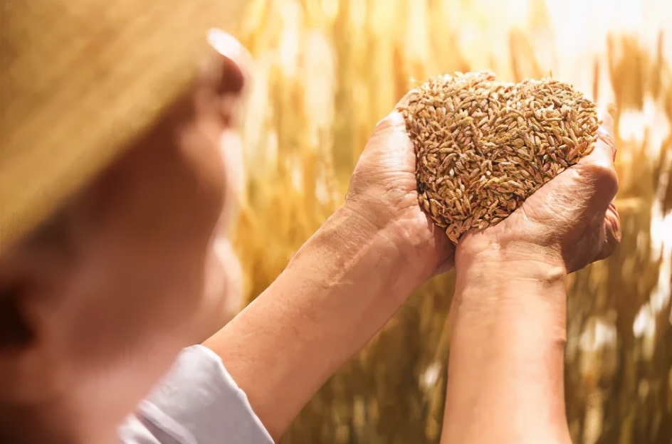 美妈美颜先清肠胃，消食化积来碗三仙茶