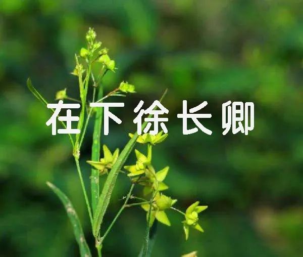 看完2019年新生儿爆款名字榜单，我觉得叫「王者荣耀」也挺好的