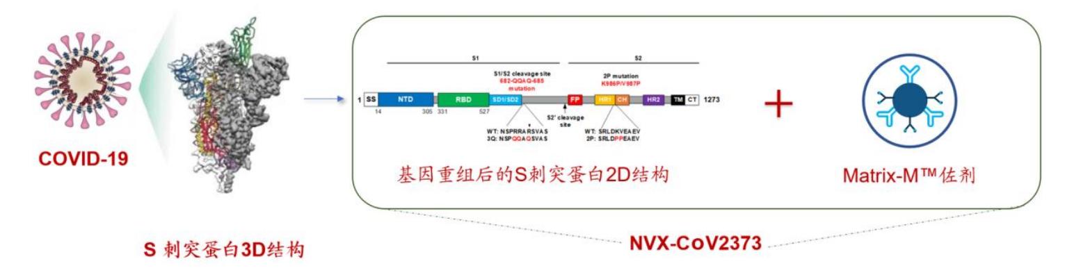 英国昨日接种60万人，近900万人接种！学长详解两款新疫苗