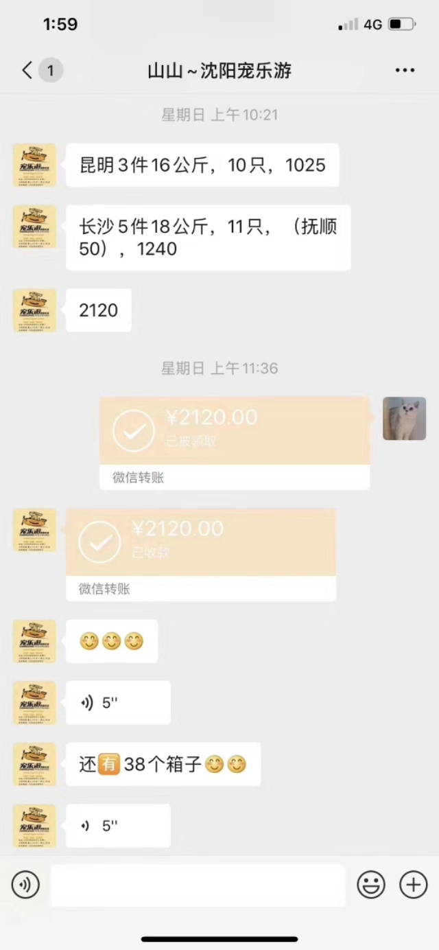 宠物店生意好做吗,宠物店生意前景怎么样