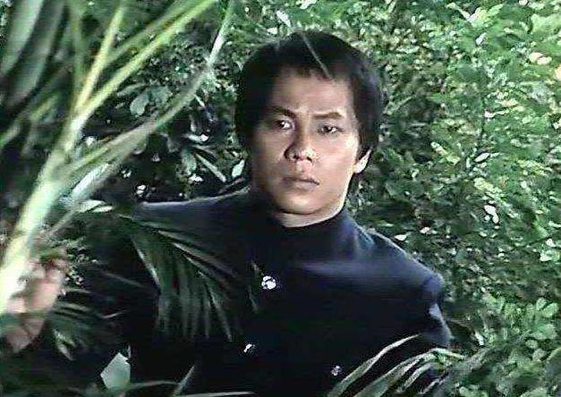 香港十大功夫明星甄子丹,洪金宝香港最能打的胖子