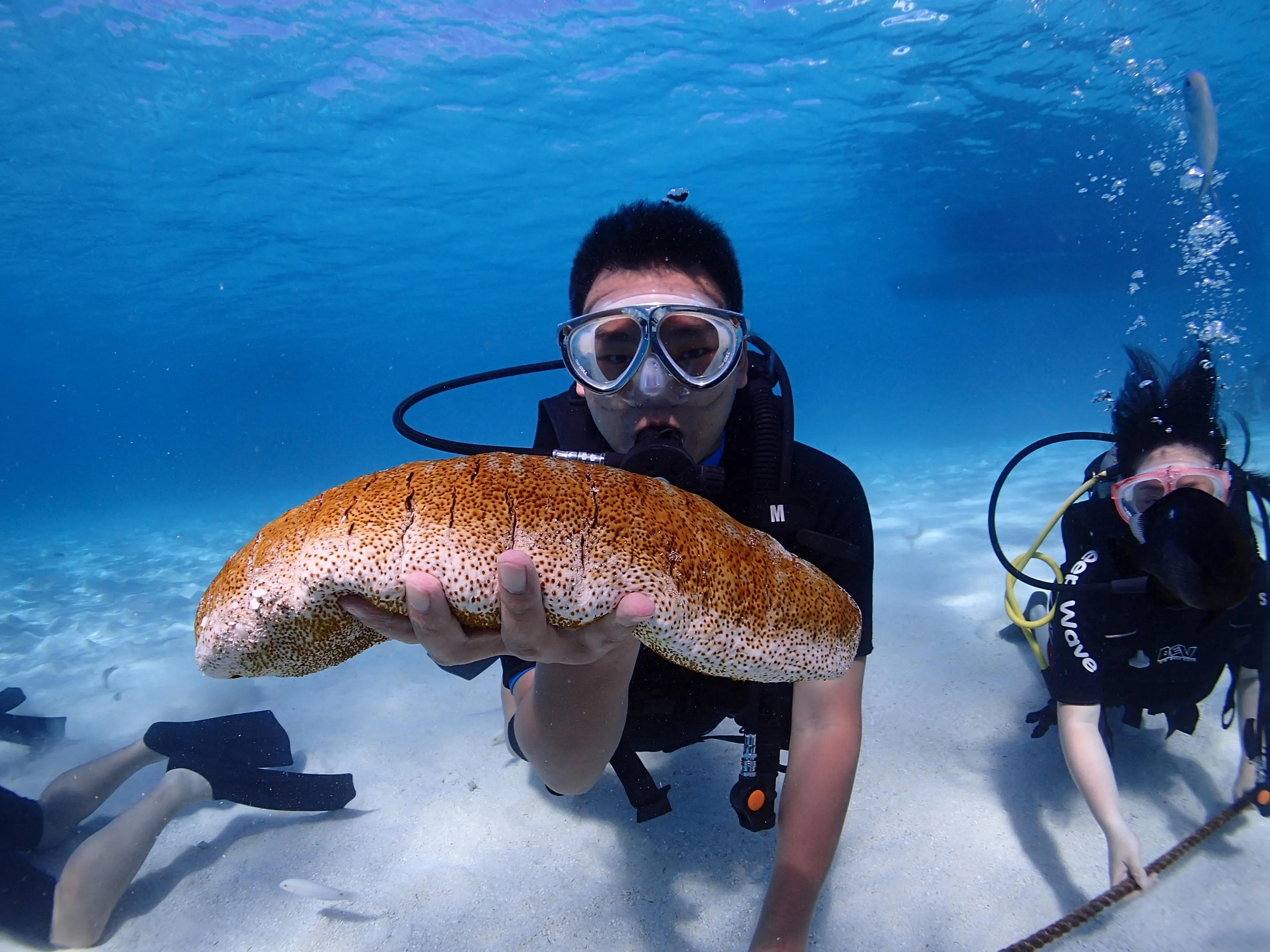 塞班水晶湾浮潜和军舰岛浮潜,塞班七彩海水