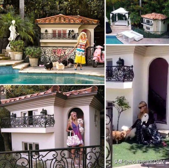 尼古拉斯凯奇凶宅,盘点尼古拉斯凯奇名场面