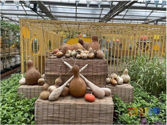 京城这些好地方您还没去？抓紧行动，下雨天才是正确打开方式！