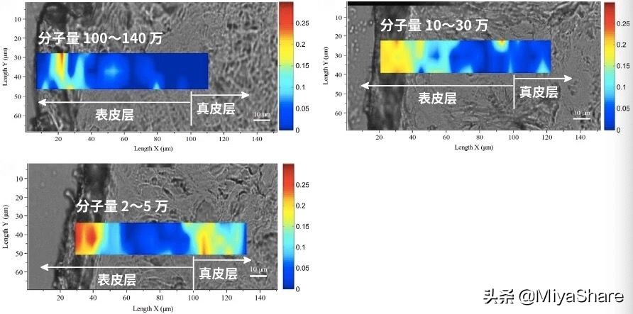 颐莲玻尿酸控油精华水测评,颐莲玻尿酸活颜焕亮精华液试用