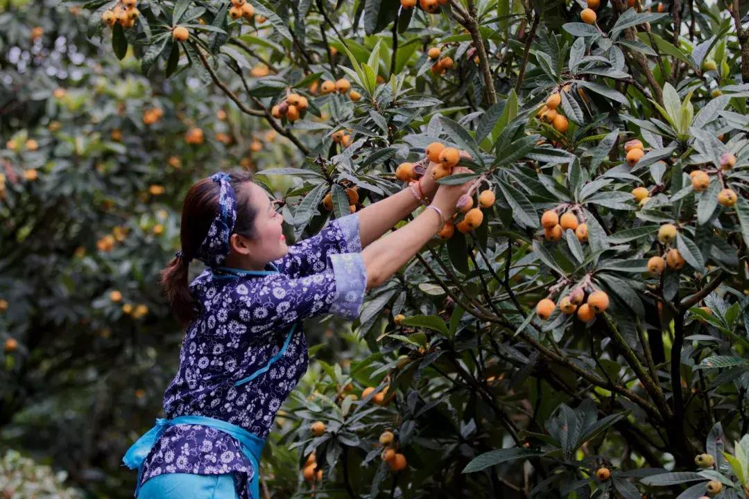 新安江山水画廊的美景,新安江山水画廊山水图
