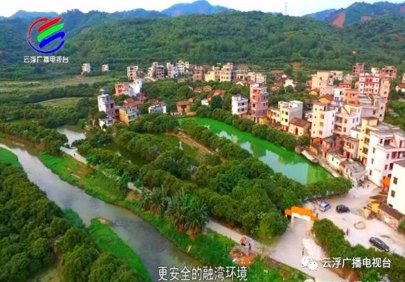 多彩云浮丨美“荔”宝珠，东进融湾