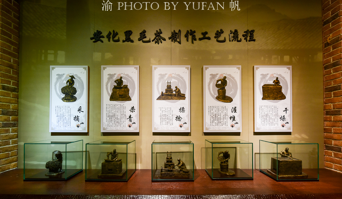 湖南省益阳市安化县特产黑茶,湖南安化县世界黑茶之都