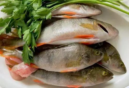 寿光羊口海鲜什么时间去合适,寿光羊口开海时间