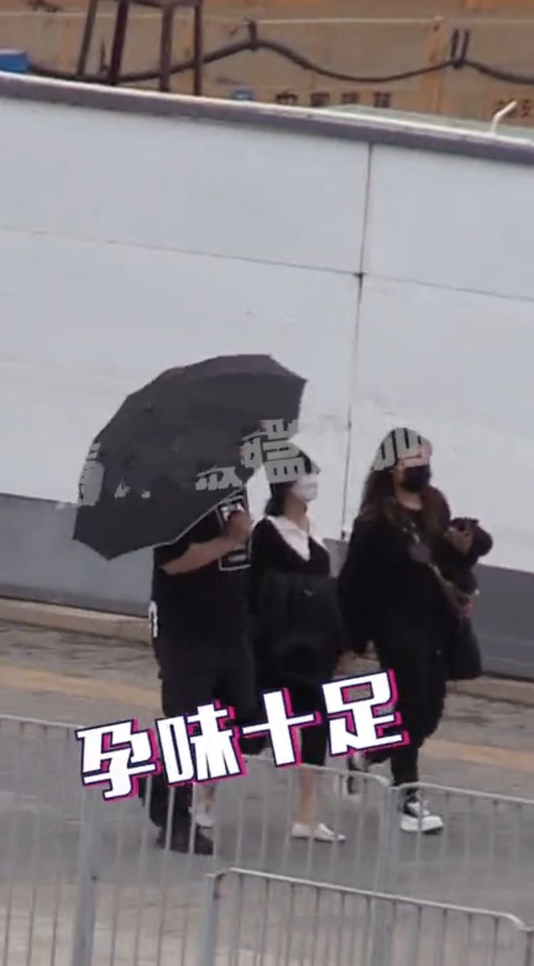 谢娜发文晒跳跳俏俏日常,谢娜分享跳跳俏俏互动日常