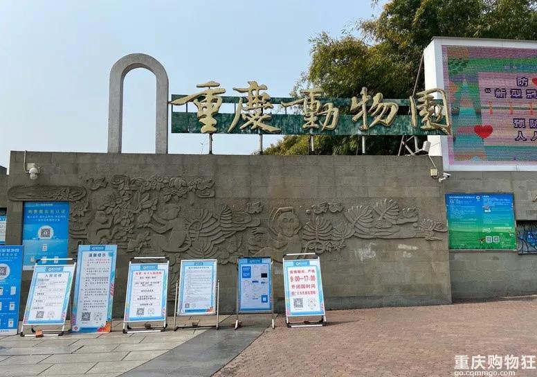 重庆杨家坪的记忆,重庆记忆杨家坪