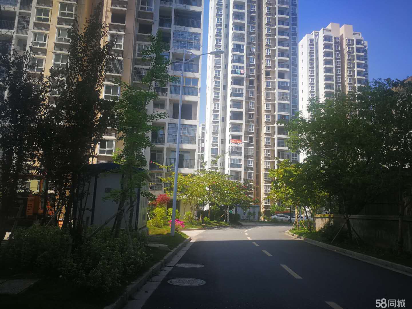 在那里他们学会了盖房子爱爱爱啊啊