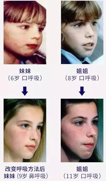 双十二种草日期,双十二种草有什么好处