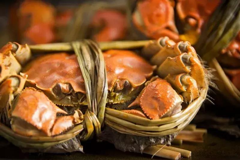 10月小众旅行地最美秋天惹人醉,秋天9月的时候适合去哪里