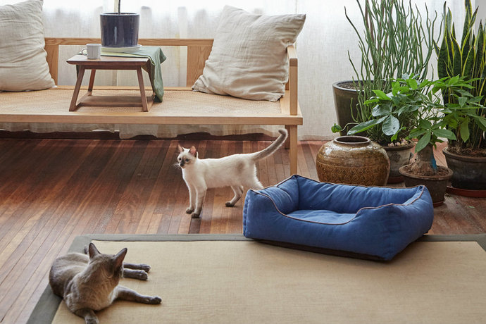 明波家具生活馆,明波家居