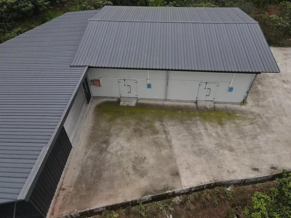 发展壮大村集体经济的重大意义,本村发展壮大村集体经济的思路