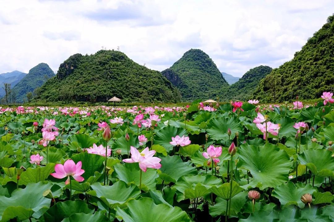 今年夏天的旅行计划,2022旅行愿望清单