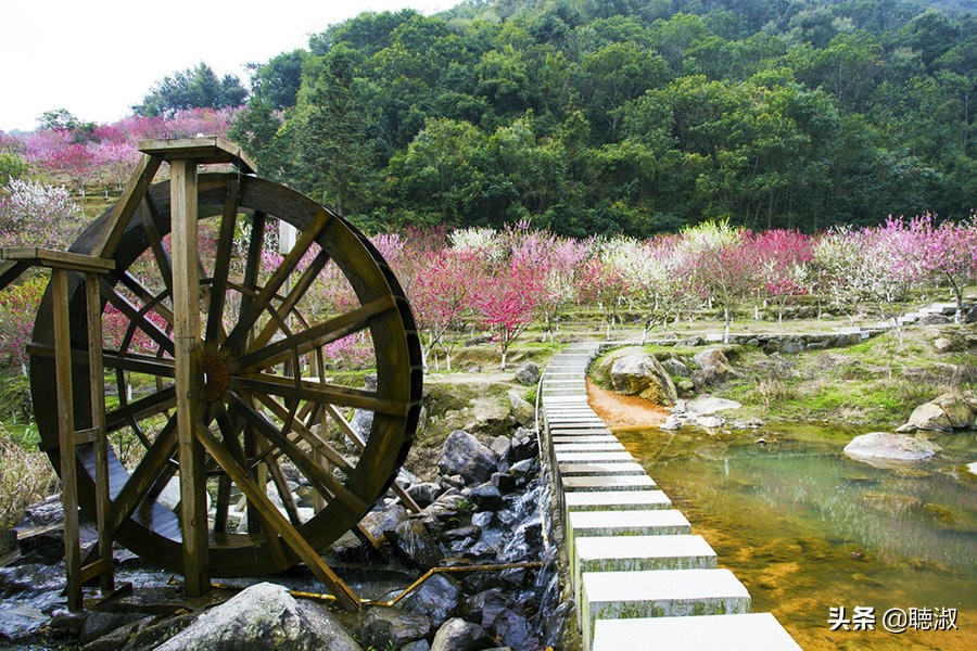 永春桃城镇桃园天地,山水桃源风景图片