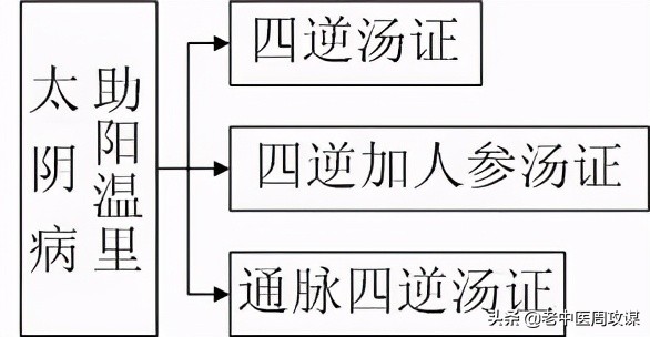 六经辨证治法,六经辨证教学视频