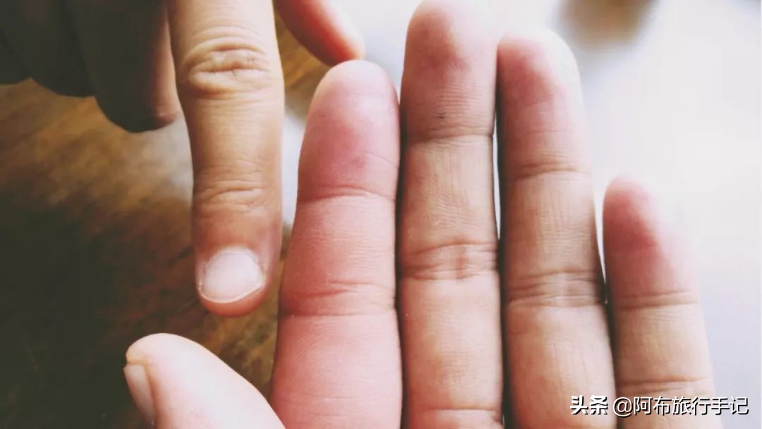 豆瓣9.1分，看过不足1500人，我却复盘了张日本最全野游图