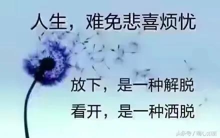 把酒祝东风且共从容,把酒祝东风且共从容完整版