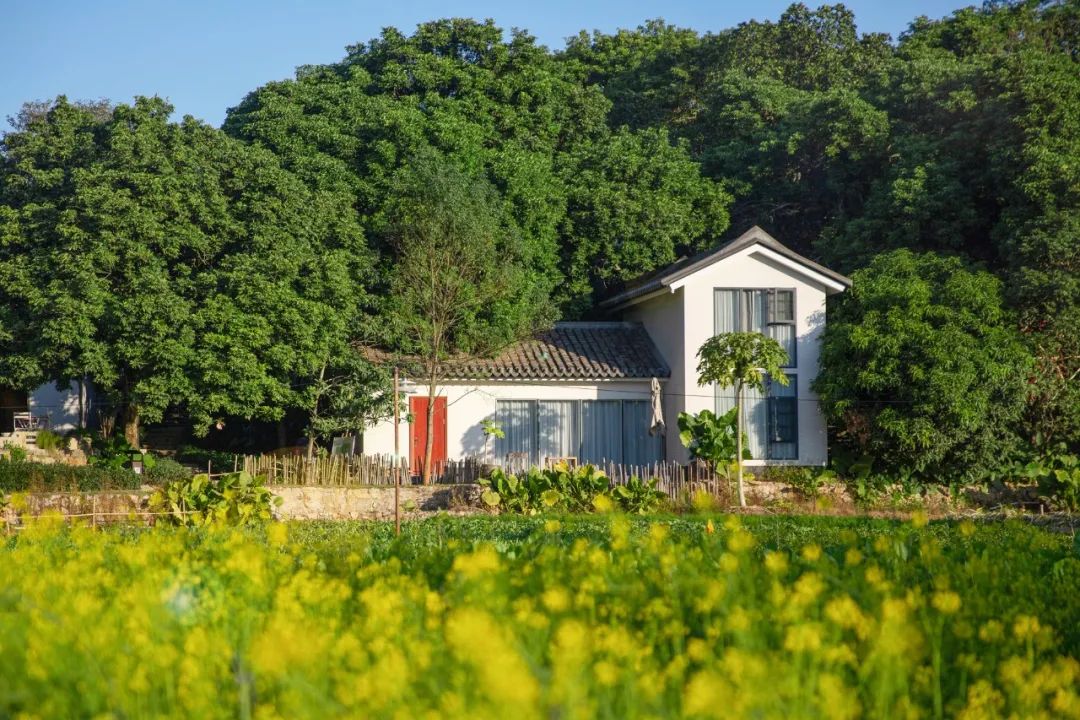 惠阳区名胜古迹,惠阳将军故居