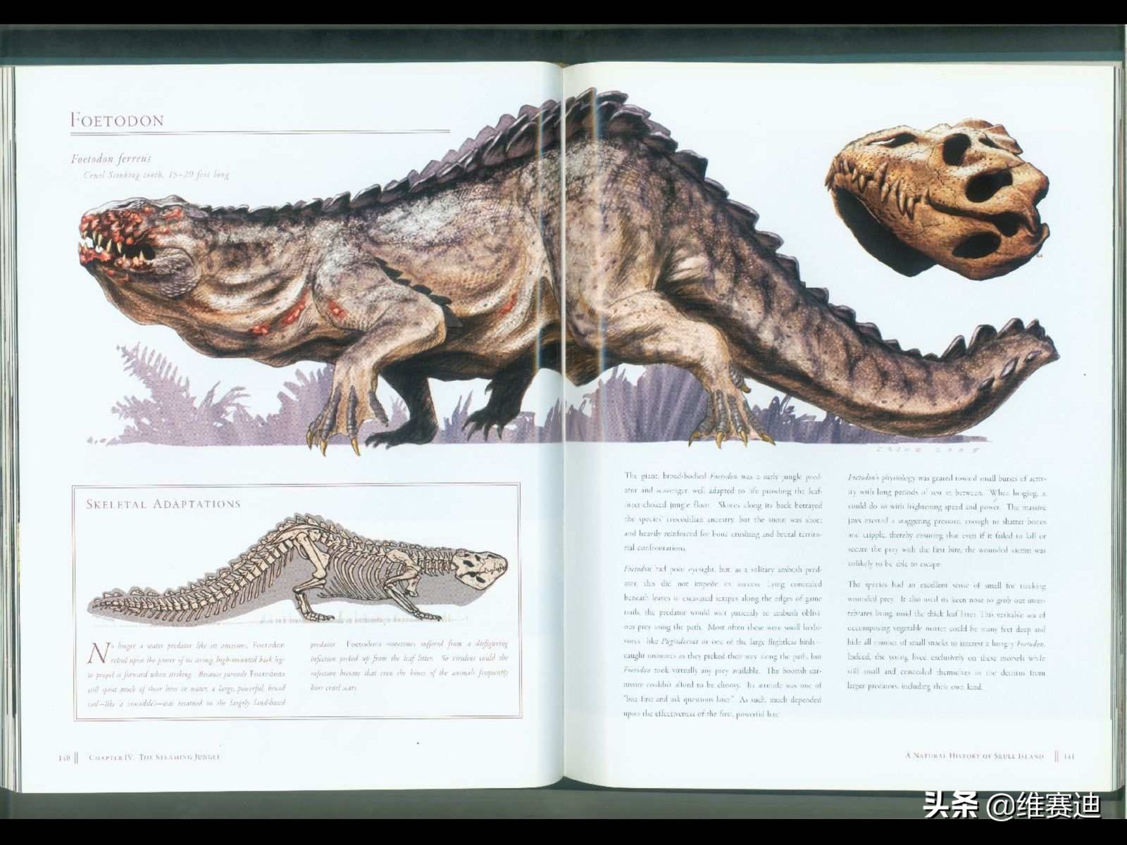 金刚电影各种怪兽排名,金刚骷髅岛大战怪兽电影