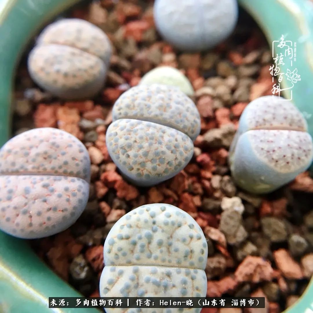 人到中年温暖如初,人到中年岁月静好