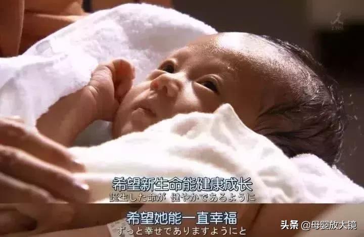 一张图了解孕期,一图看懂孕期食物