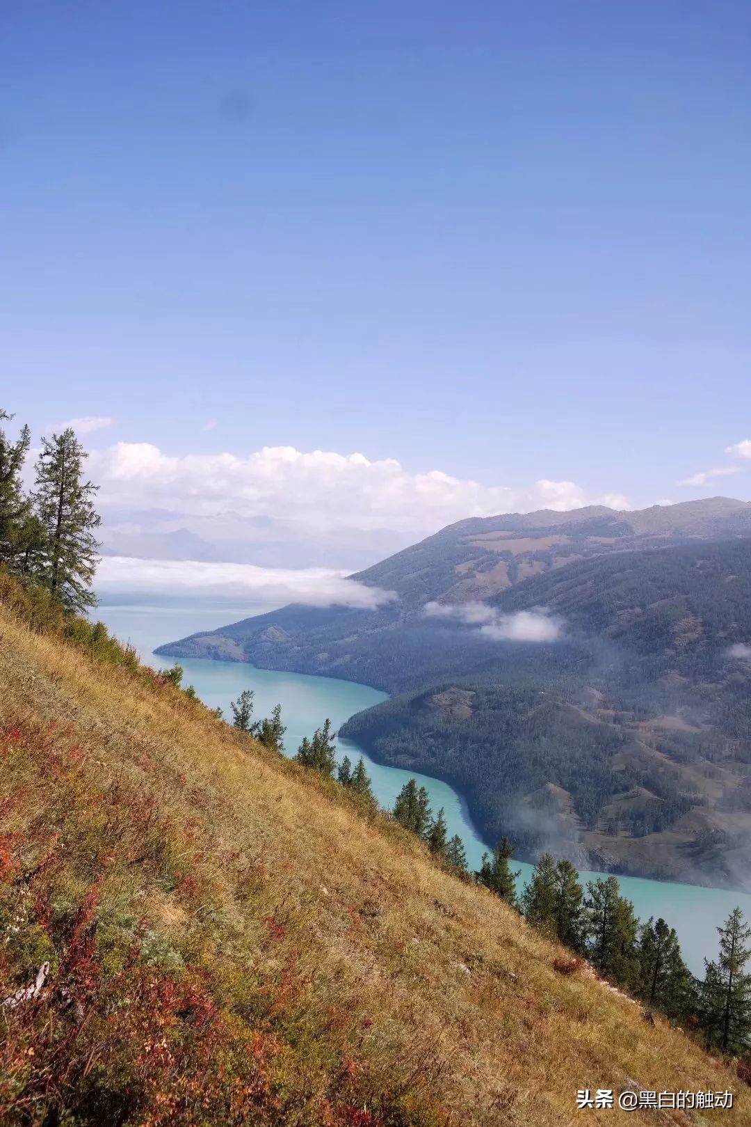 都说新疆好去新疆发展可靠么,都说新疆好地方