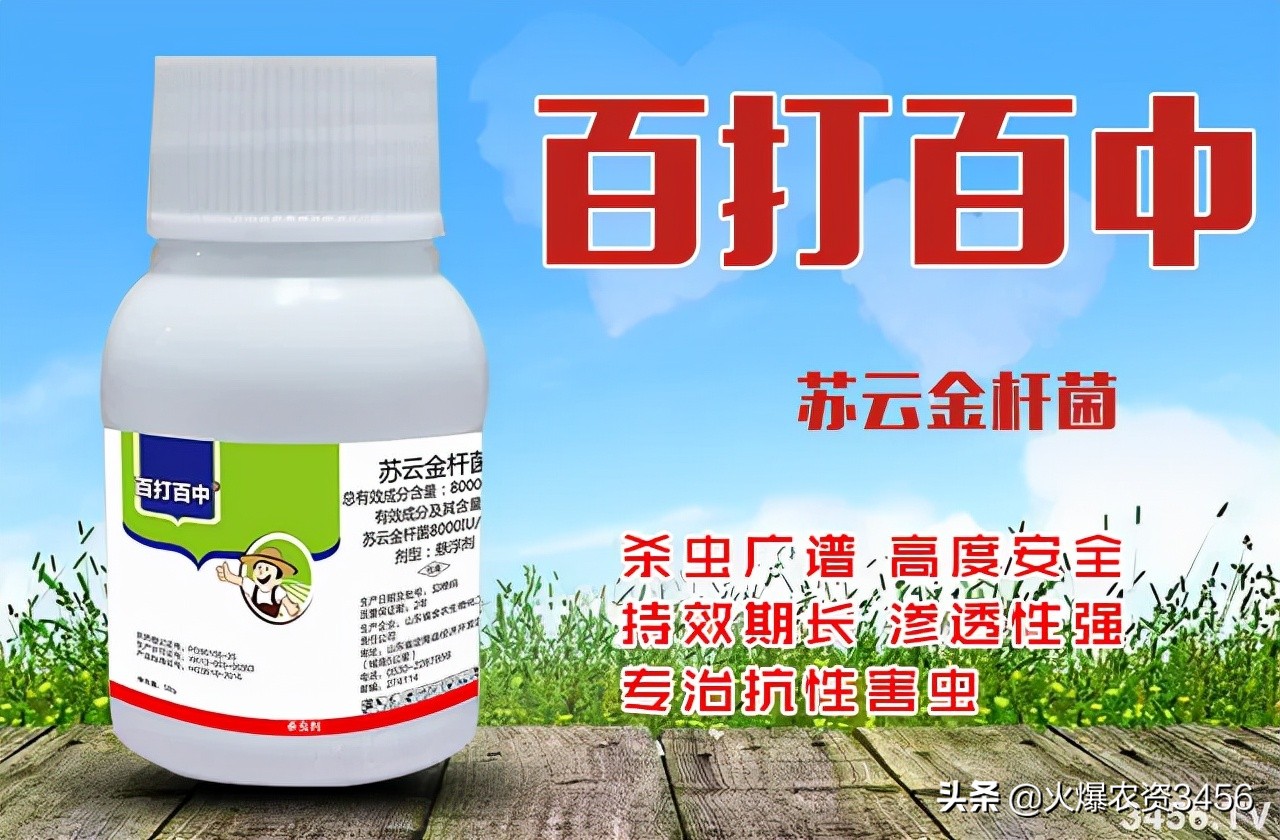 吊丝虫防治用什么药,吊丝虫特效药