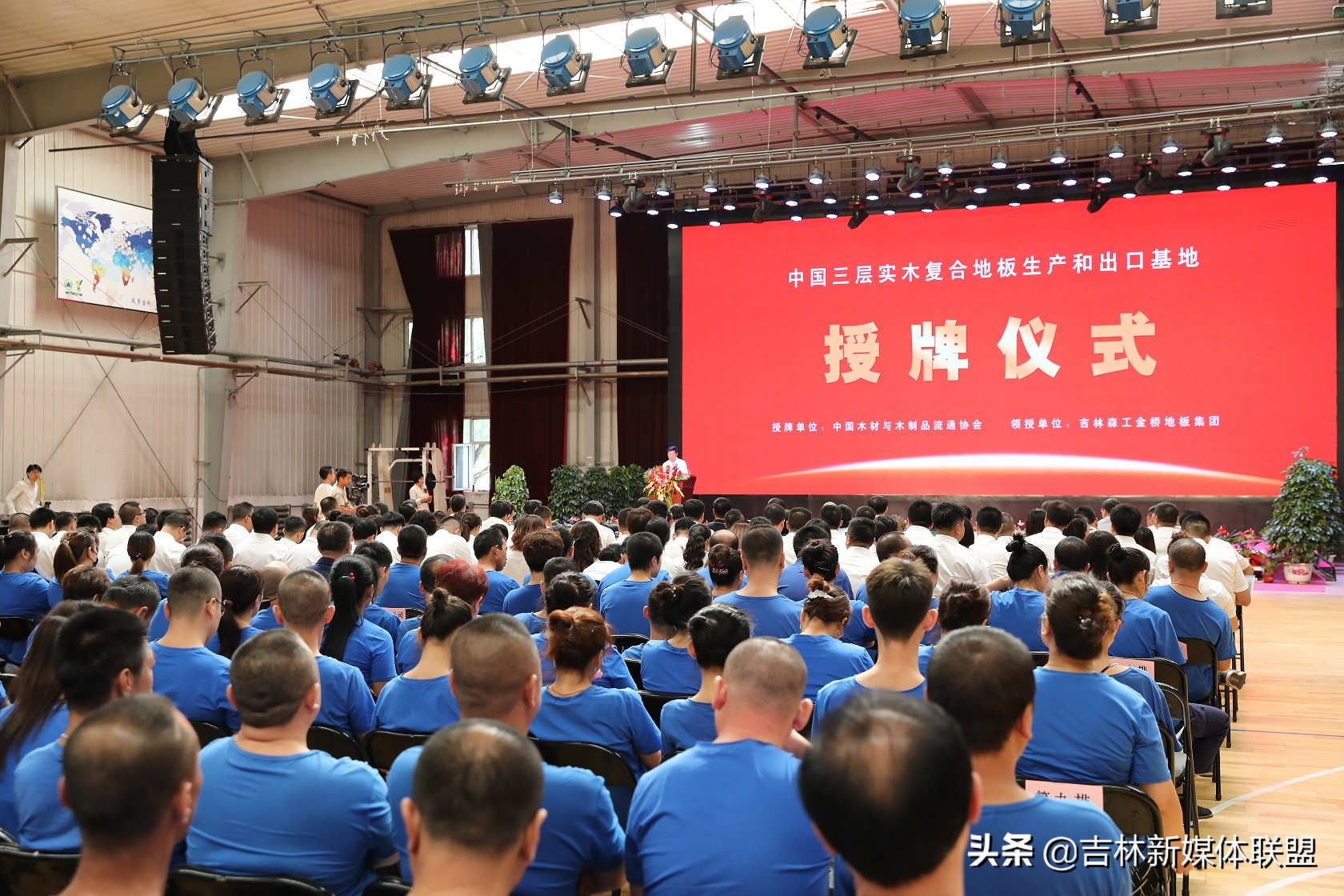 走进中国金桥地板,金桥实木地板