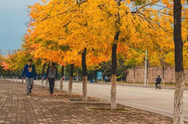 高校网红食堂盘点,河北一高校网红食堂