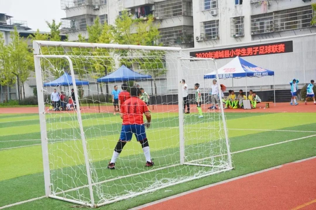 2020浦城小学生男足联赛落幕派迪茵体育试点校斩获冠亚军