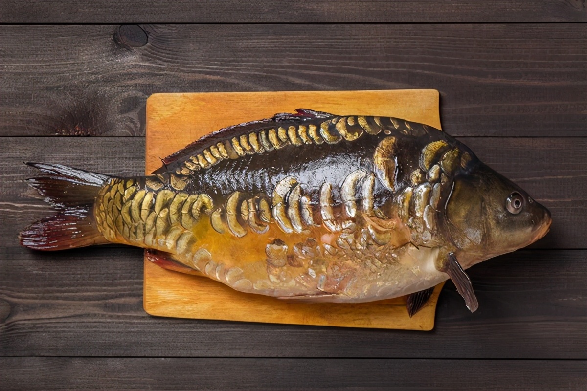 世界上最美味的10种鱼