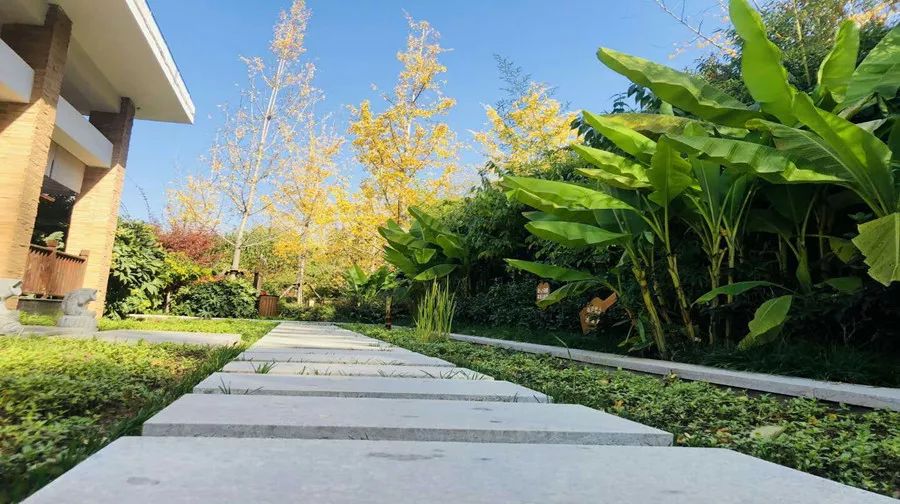 太白山凤凰温泉299住宿套餐,太白山凤凰温泉a楼和b楼