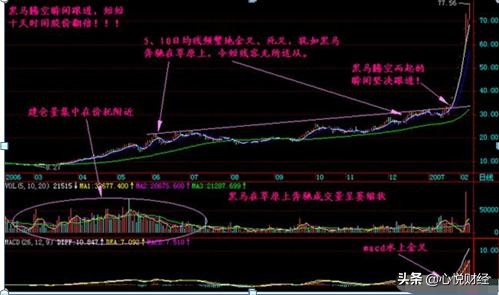 中国股市强势选股指标大全,中国股市比较厉害的散户