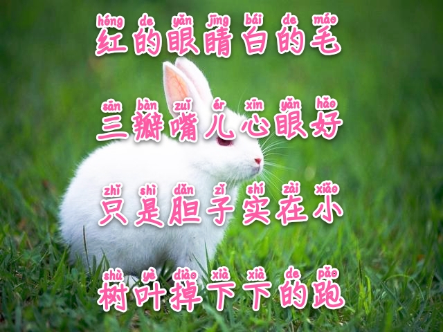 常与孩子猜谜100条儿童谜语建议,儿童睡前谜语简单易懂大全