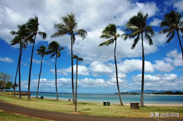 搬到夏威夷？这些是你应该知道的！