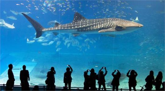香港海洋公园门票多少钱,香港海洋公园门票价目表