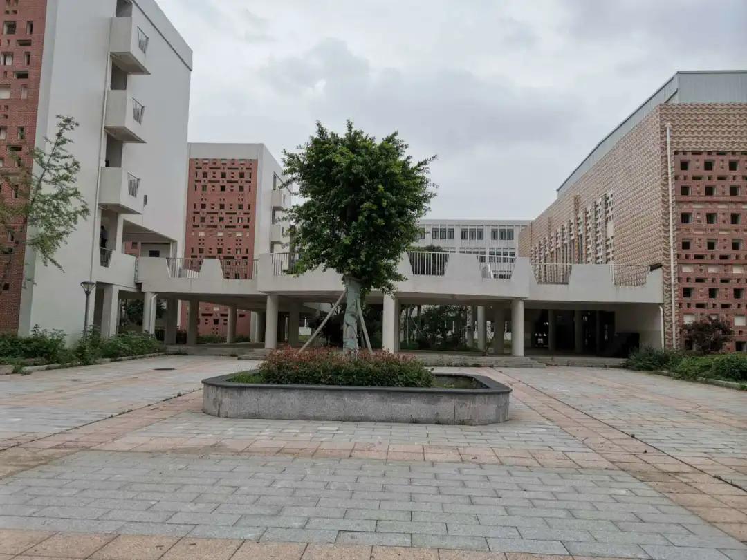 吉安各楼盘附近学校,吉安8中分校学区房