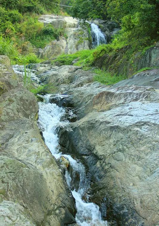 诗经泉水的诗句,诗经泉水全文朗诵