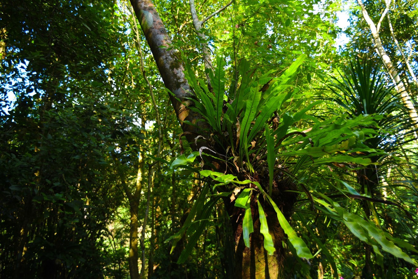 三亚旅游与美食攻略,三亚旅游攻略三亚美食